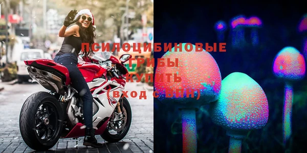 PSILOCYBIN Баксан