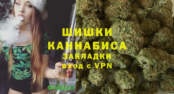 PSILOCYBIN Баксан